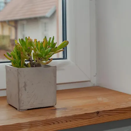 Kj Apartment Bydgoszcz